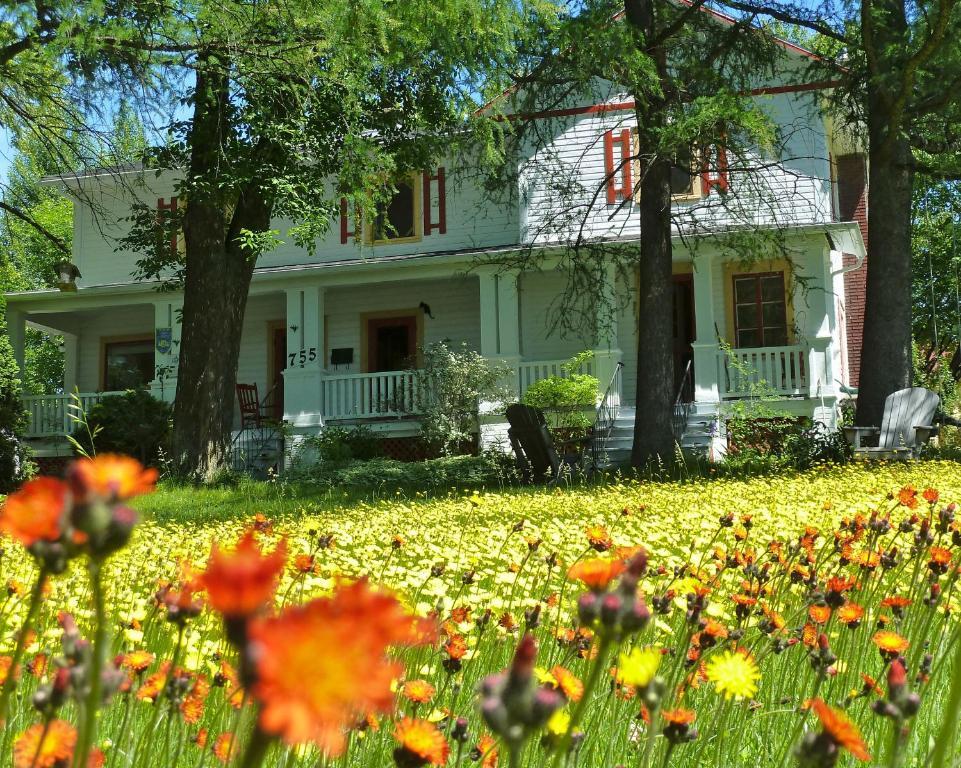 Almatoit Bed and Breakfast Εξωτερικό φωτογραφία